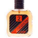 Festiva Туалетная вода для мужчин Men's Planet Carbon 2, 100 мл 2 4640089150126-карбон2-2