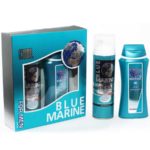 Festiva подарочный косметический для мужчин Blue Marine Cool (гель для душа 250 мл + пена для бритья 200 мл) 1