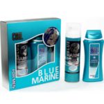Festiva подарочный косметический для мужчин Blue Marine Cool (шампунь 250 мл + пена для бритья 200 мл) 2