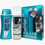 Festiva Набор подарочный косметический для мужчин Blue Marine Cool с шампунем, 1 шт 1