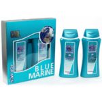 Festiva подарочный косметический для мужчин Blue Marine Cool (шампунь 250 мл + гель для душа 250 мл) 1